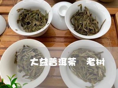 大益普洱茶 老树/2023041087249